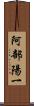 阿部陽一 Scroll