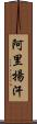 Aliyan Khan Scroll