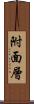 附面層 Scroll