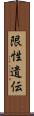 限性遺伝 Scroll