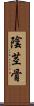 陰茎骨 Scroll