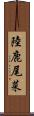 陸鹿尾菜 Scroll
