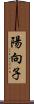 陽向子 Scroll