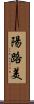 陽路美 Scroll