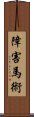 障害馬術 Scroll