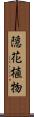 隠花植物 Scroll