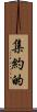 集約的 Scroll