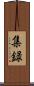 集録 Scroll