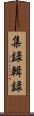 集録 Scroll
