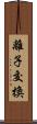 離子交換 Scroll