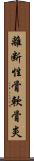 離断性骨軟骨炎 Scroll