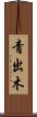 青出木 Scroll