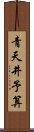 青天井予算 Scroll