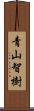 青山智樹 Scroll