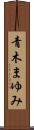 青木まゆみ Scroll
