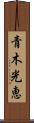 青木光恵 Scroll