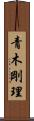 青木剛理 Scroll