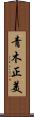 青木正美 Scroll