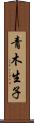 青木生子 Scroll