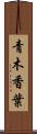 青木香葉 Scroll