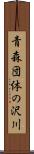 青森団体の沢川 Scroll