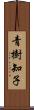 青樹知子 Scroll