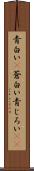 青白い(P) Scroll