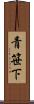 青笹下 Scroll