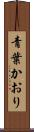 青葉かおり Scroll