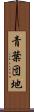 青葉団地 Scroll