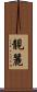靚麗 Scroll