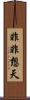 非非想天 Scroll