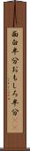 面白半分 Scroll