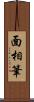 面相筆 Scroll