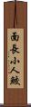 面長小人鮫 Scroll