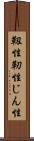靱性 Scroll