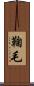 鞠毛 Scroll