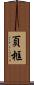 頁框 Scroll