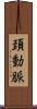 頚動脈 Scroll
