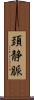 頚静脈 Scroll