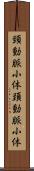 頸動脈小体 Scroll