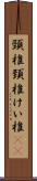 頸椎 Scroll