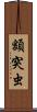 額突虫 Scroll
