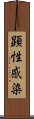 顕性感染 Scroll