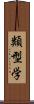 類型学 Scroll