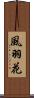 風羽花 Scroll