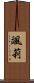 颯莉 Scroll