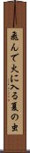 Tondehiniirunatsunomushi Scroll