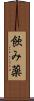 飲み薬 Scroll