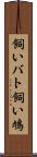 飼いバト Scroll